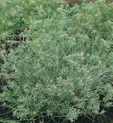 Product showcase image from staged upload