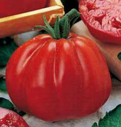 Tomaten vleestomaat Cuor di bue Pomodoro