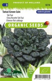 Product showcase image from staged upload