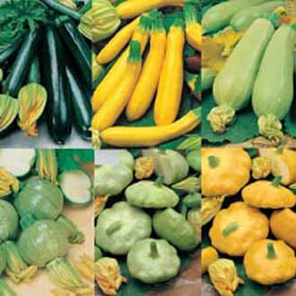 Product showcase image from staged upload