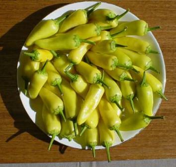 Product showcase image from staged upload